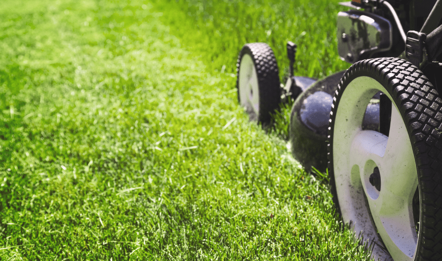 LAWN CARE